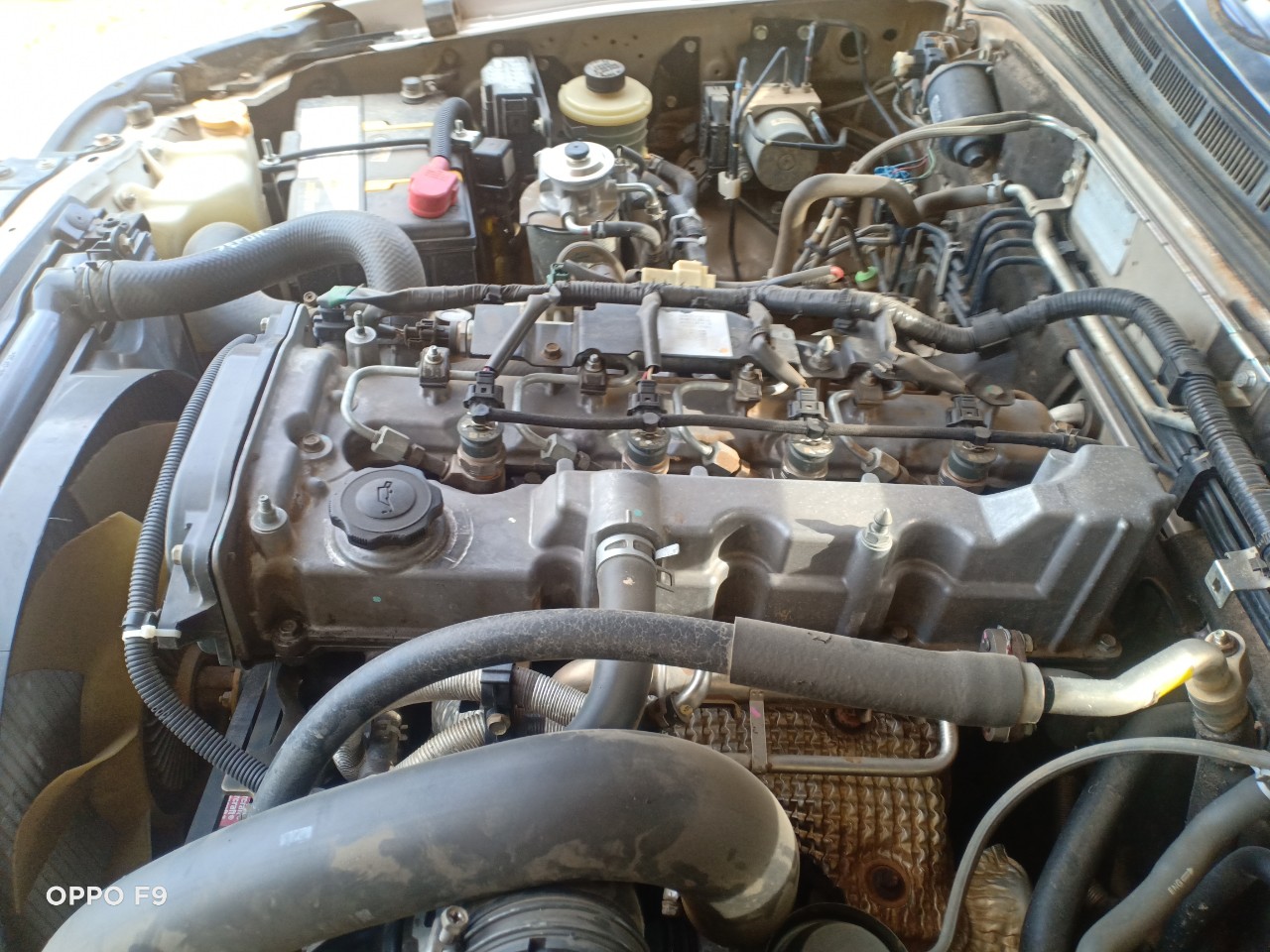 z3819717382699_91d8617f05cc303dbc87896e1a3c23b2